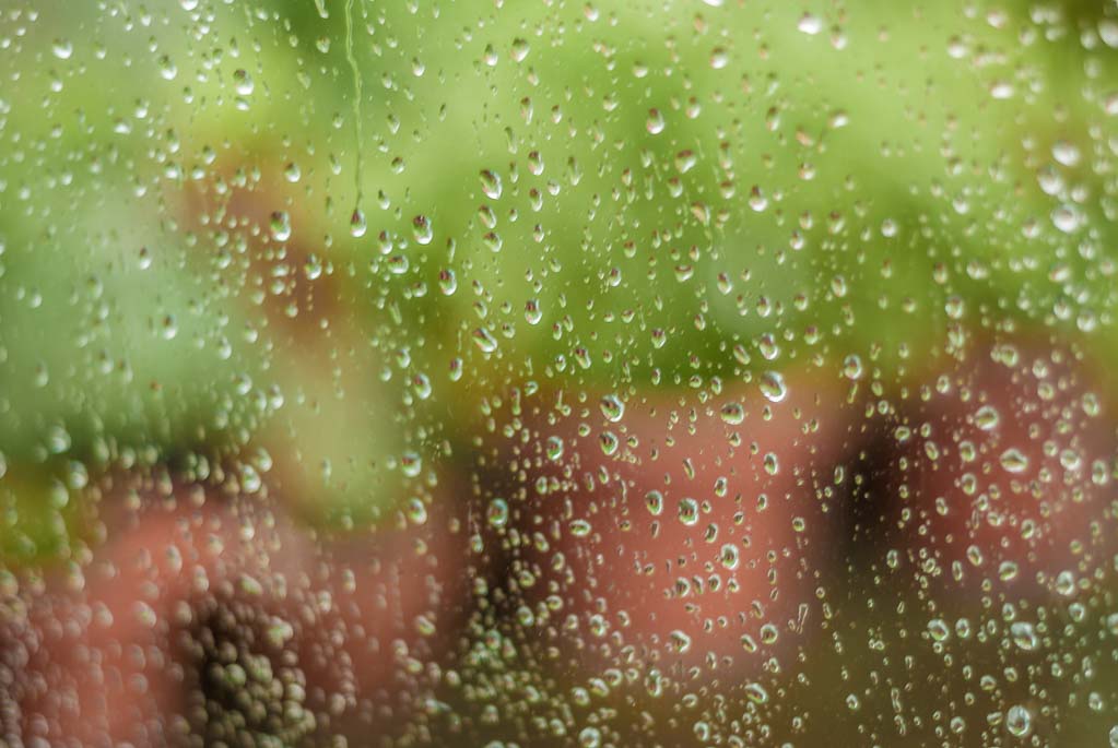 Rain Day in Waynesburg, Pennsylvania - Tag des Regens. Kuriose Feiertage - 29. Juli © 2014 Sven Giese - Bild 2