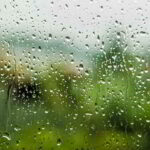 Rain Day in Waynesburg, Pennsylvania - Tag des Regens. Kuriose Feiertage - 29. Juli © 2019 Sven Giese