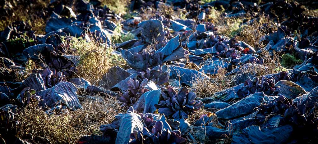 National Simplicity Day - Tag der Einfachheit in den USA. Kuriose Feiertage - 12. Juli © 2014 Sven Giese - Bild 3