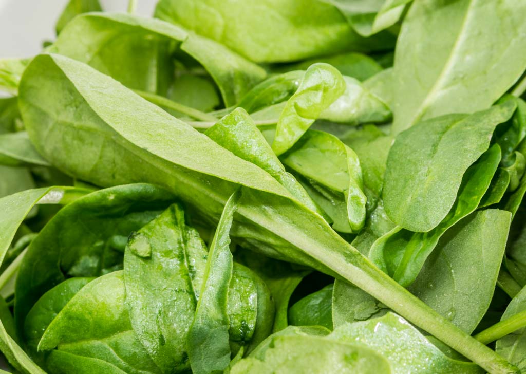 Fresh Spinach Day - Tag des frischen Spinats in den USA. Kuriose Feiertage - 16. Juli © 2016 Sven Giese - Bild 3 Fresh Spinach Day - Tag des frischen Spinats in den USA. Kuriose Feiertage - 16. Juli © 2016 Sven Giese - Bild 3