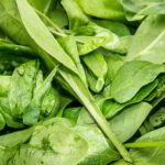 Fresh Spinach Day - Tag des frischen Spinats in den USA. Kuriose Feiertage - 16. Juli © 2019 Sven Giese