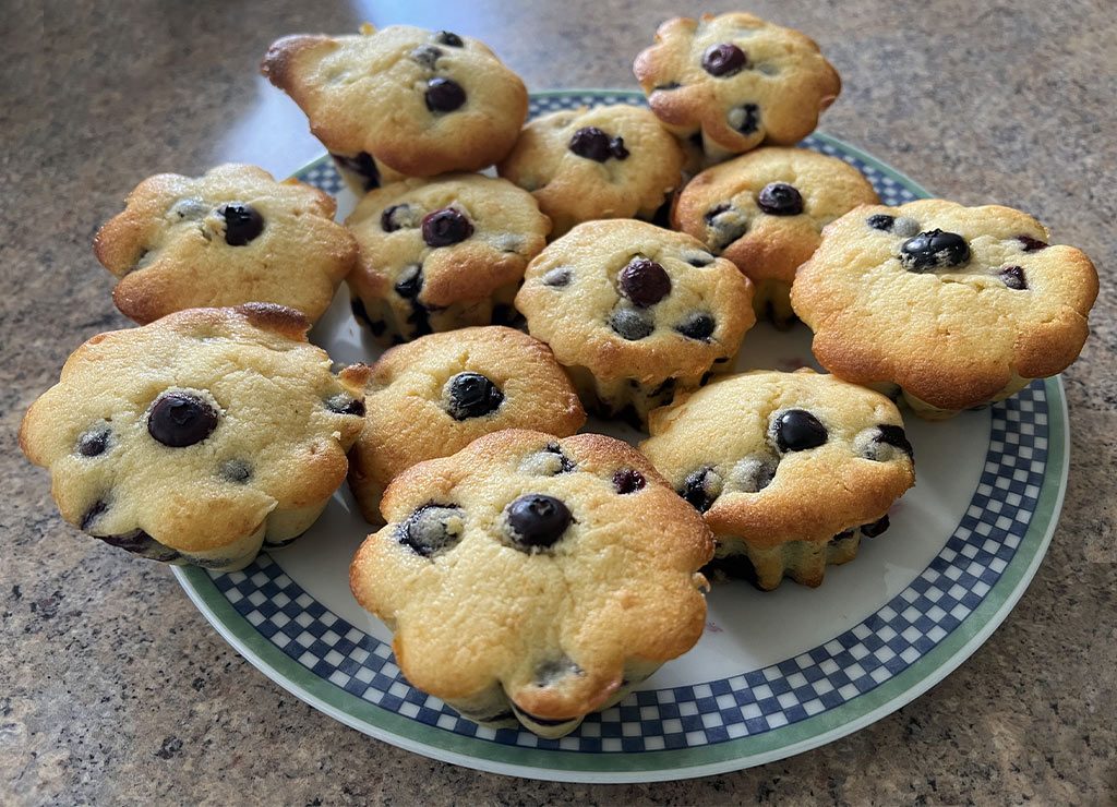 National Blueberry Muffin Day - Tag des Blaubeermuffins in den USA. Kuriose Feiertage - 11. Juli © 2022 Dietmar Giese