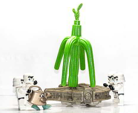 National Take Your Houseplant For A Walk Day - der US-amerikanische Geh-mit-Deiner-Zimmerpflanze-spazieren-Tag. Kuriose Feiertage - 27. Juli © 2019 Sven Giese