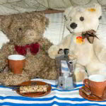 Teddy Bear Picnic Day - Tag des Teddybär-Picknick. Kuriose Feiertage - 10. Juli © 2019 Sven Giese