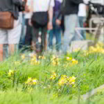 National Hop A Park Day - Geh-in-den-Park-Tag in den USA. Kuriose Feiertage - erster Samstag im Juli © 2019 Sven Giese