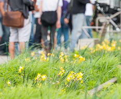 National Hop A Park Day - Geh-in-den-Park-Tag in den USA. Kuriose Feiertage - erster Samstag im Juli © 2019 Sven Giese