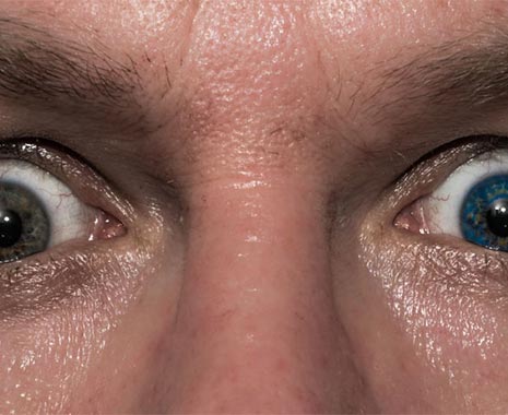 National Different Colored Eyes Day - Tag der Iris-Heterochromie in den USA. Kuriose Feiertage - 12. Juli © 2019 Sven Giese