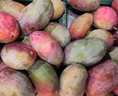 national mango day usa 2023 sven giese featured