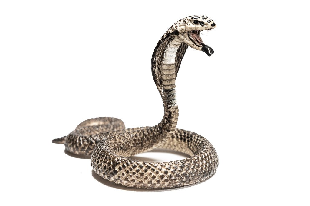 World Snake Day - Welttag der Schlange. Kuriose Feiertage - 16. Juli © 2018 Sven Giese