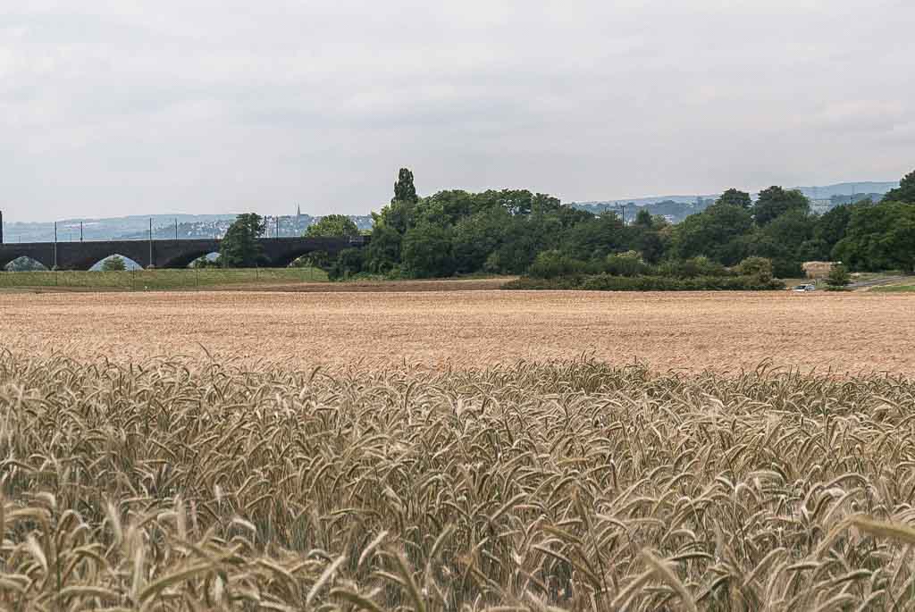 Jakobstag. Kuriose Feiertage - 25. Juli © 2018 Sven Giese - Bild 1