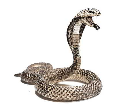 World Snake Day - Welttag der Schlange. Kuriose Feiertage - 16. Juli © 2019 Sven Giese