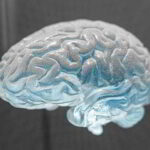 World Brain Day - Welttag des Gehirns. Kuriose Feiertage - 22. Juli © 2019 Sven Giese