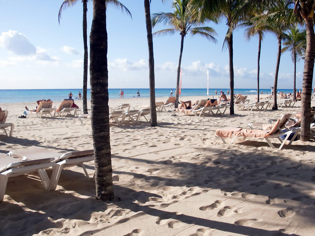 National Summer Leisure Day - Tag der Sommerfreizeit in den USA. Kuriose Feiertage - 6. Juli © 2021 Sven Giese National Summer Leisure Day - Tag der Sommerfreizeit in den USA. Kuriose Feiertage - 6. Juli © 2021 Sven Giese